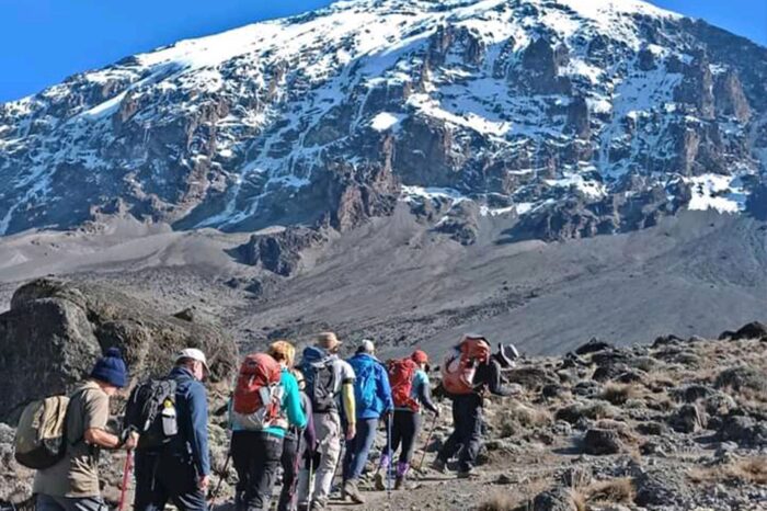 7 days Machame Route Kilimanjaro Climbing