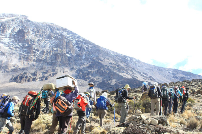 8 Days Lemosho Route Kilimanjaro Climbing