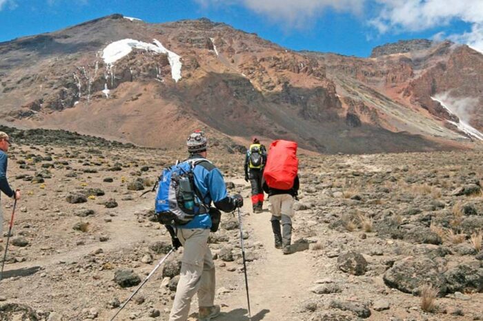 7 Days Marangu Route Kilimanjaro Climbing