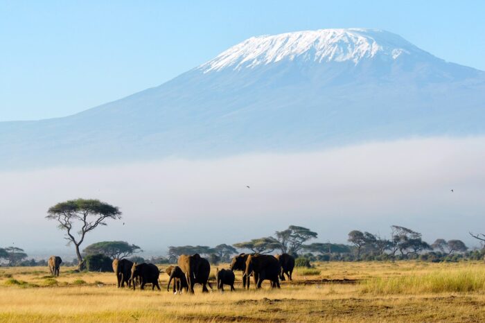 13-Day Mount Kilimanjaro Climb & Tanzania Safari Tour